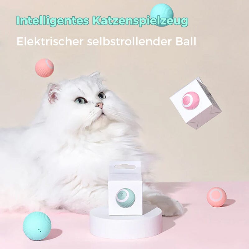 Elektrisches Katzenspielzeug